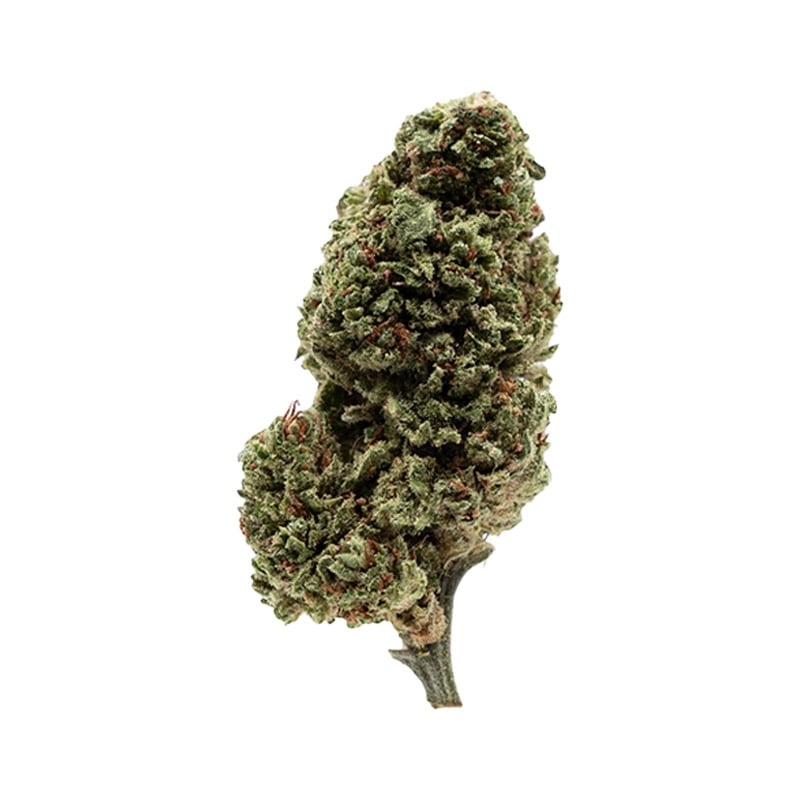 Fleurs Vrac THV-N10 ScreamZ - Halloweed pas cher