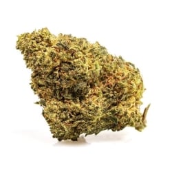 Fleurs Vrac HPX Kalash Kush GH - Le CBD Discount pas cher