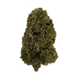 Fleurs CBD Vrac Zombie Sky GH - Le CBD Discount pas cher