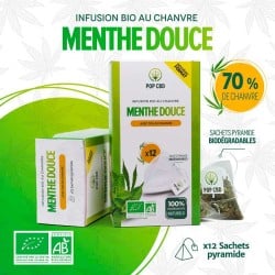 Infusion CBD Bio - Menthe Douce 70% - Sachet Pyramide - Pop CBD pas cher