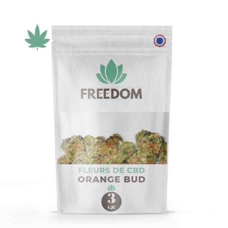 Fleurs Orange Bud - Freedom pas cher Fleurs Orange Bud - Freedom pas cher