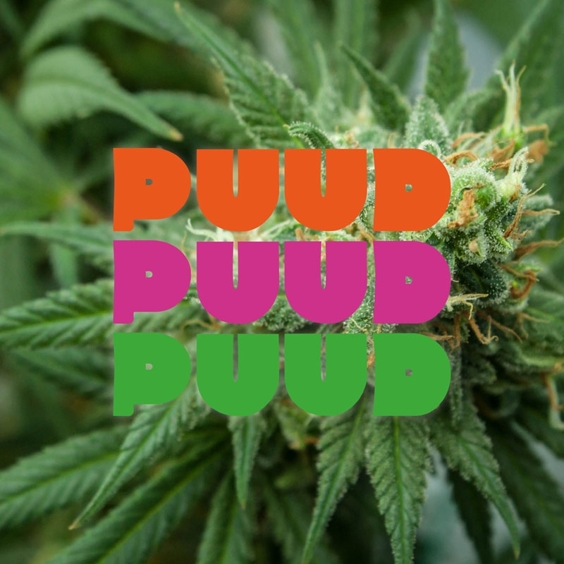 Cartouche Puud Amnesia CBD - Marie Jeanne pas cher