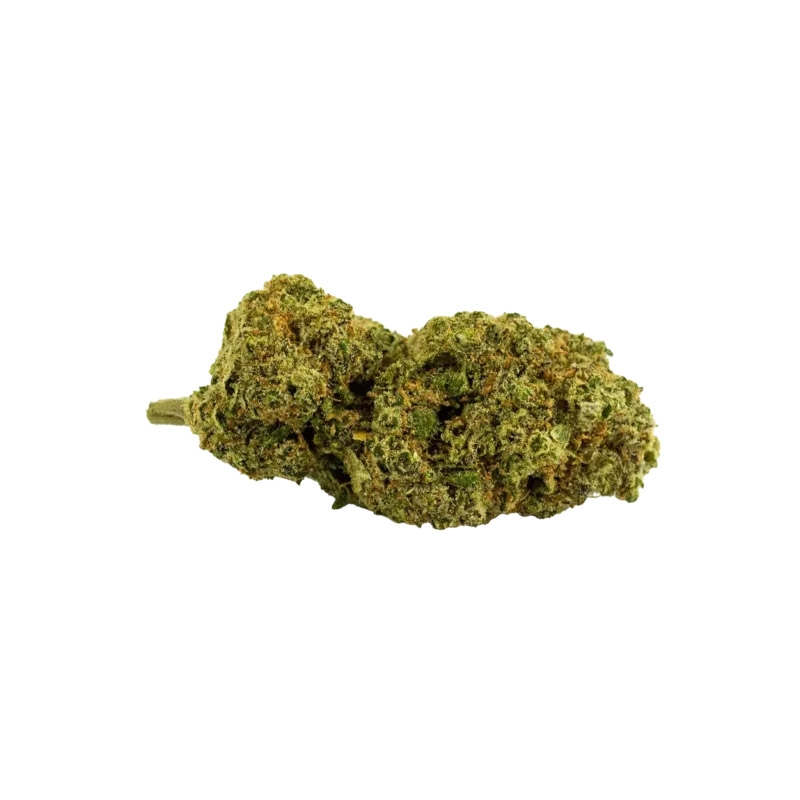 Fleurs CBD Golden Gelato - Golden CBD pas cher