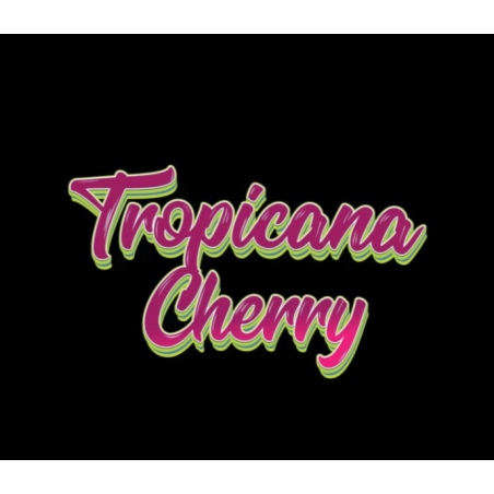 Pré Roll MCP-N Tropicana Cherry 30% - Jok'Air - CBD pas cher