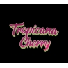 Pré Roll MCP-N Tropicana Cherry 30% - Jok'Air - CBD pas cher