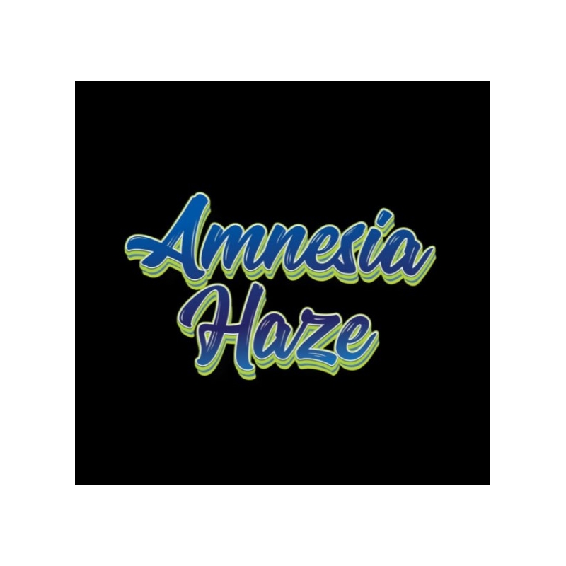 Pré Roll MCP-N Amnésia Haze 30% - Jok'Air pas cher