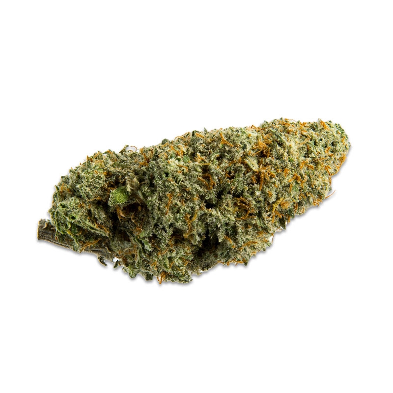 Fleurs CBD Vrac Super Silver Haze Indoor - Le CBD Discount pas cher