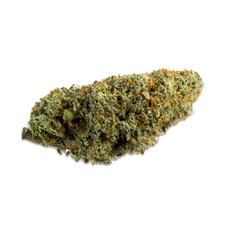 Fleurs CBD Vrac Super Silver Haze Indoor - Le CBD Discount