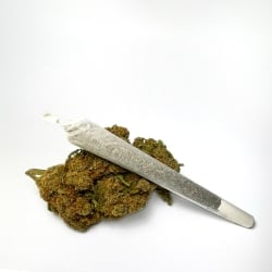 Pré-roll CBD Amnésia US Hydroponie - Le CBD Discount pas cher