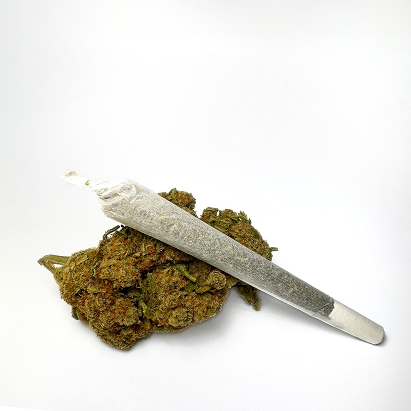 Pré Roll CBD Amnésia US Hydroponie - Le CBD Discount pas cher