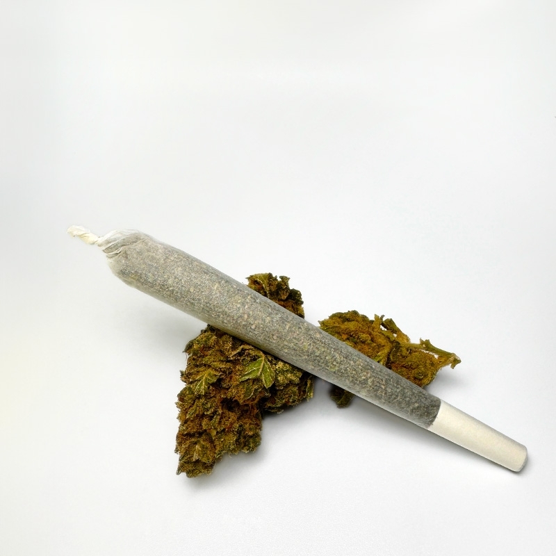 Pré Roll CBD Critical Kush Indoor - Le CBD Discount pas cher