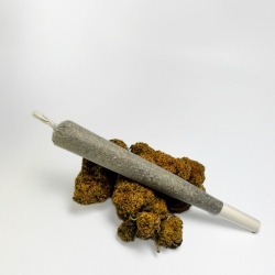 Pré-roll CBD Cali Lemon Indoor - Le CBD Discount pas cher