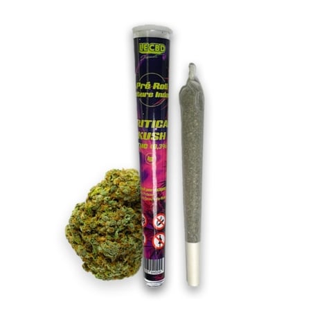 Pré Roll CBD Critical Kush Indoor - Le CBD Discount pas cher