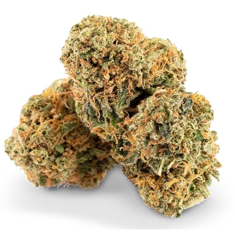 Fleurs HEC-5 Hollande Haze - Cocoribud pas cher