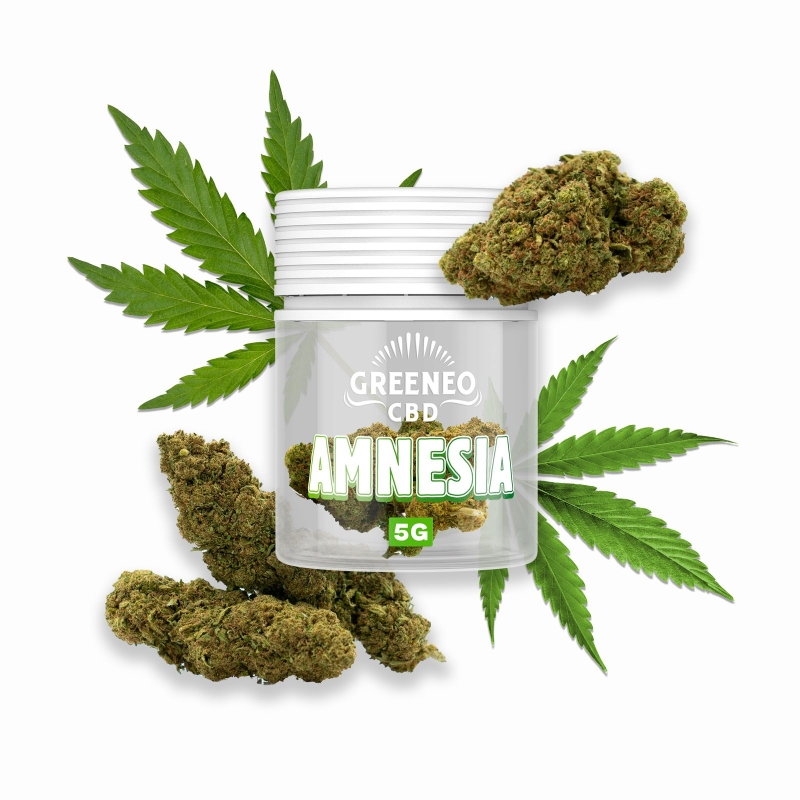 Amnesia Fleurs CBD 5g - Greeneo pas cher Amnesia Fleurs CBD 5g - Greeneo pas cher