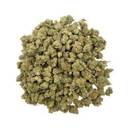 Small / Medium Buds Vrac CBD Tropical Haze - Le CBD Discount pas cher