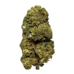 Fleurs CBD Vrac Rainbow Berry GH - Le CBD Discount pas cher