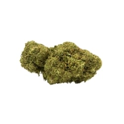 Fleurs CBD Vrac Buddha Cheese GH - Le CBD Discount pas cher