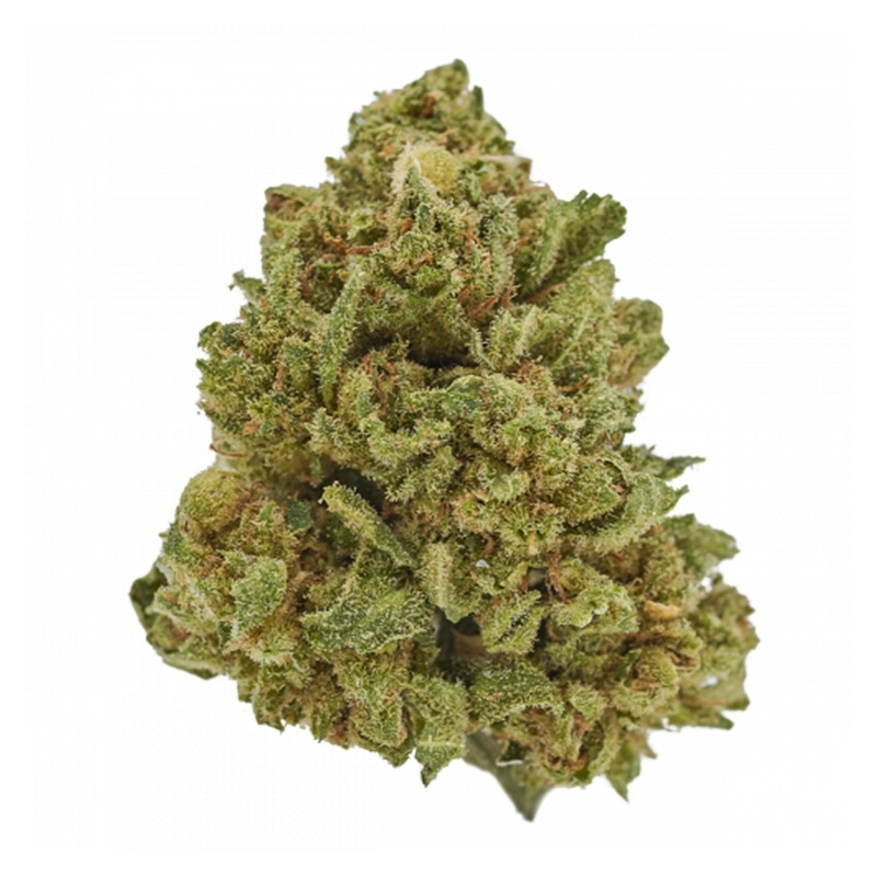 Fleurs CBD Vrac Jack Herer GH - Le CBD Discount pas cher
