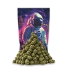 Fleurs CBD Vrac Small Bud Amnesia Californienne - Le CBD Discount pas cher