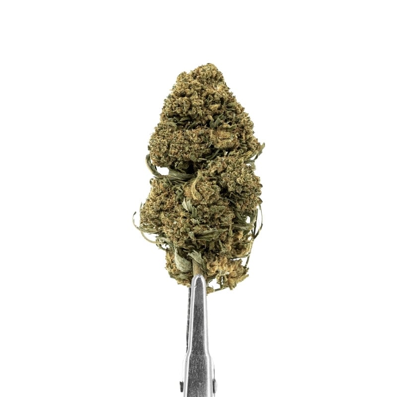 Fleurs HDH 10-OH-HHC Grape Ape Deli Hemp | Le CBD Discount - 24,90 €