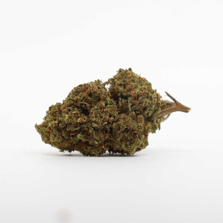 Fleurs vrac 10 OH HHC Alien OG Indoor - Le CBD Discount