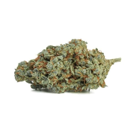 Fleurs CBD Vrac Marley Kush Indoor Hydroponie - Le CBD Discount pas cher