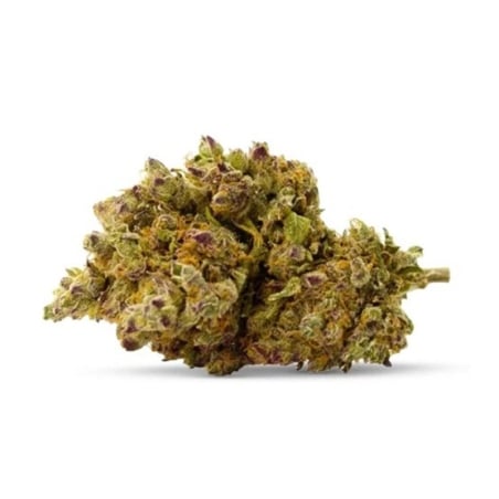 Fleurs CBD Vrac Royal Gorilla Indoor - Le CBD Discount pas cher