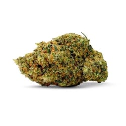Fleurs CBD Cereal Milk Indoor Hydroponie - Cookies pas cher