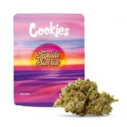 Fleurs CBD Tequila Sunrise Indoor Hydroponie - Cookies pas cher