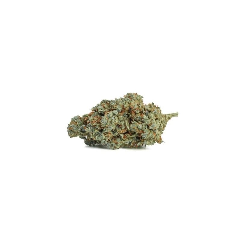 Fleurs CBD Vrac Marley Kush Indoor Hydroponie - Le CBD Discount pas cher
