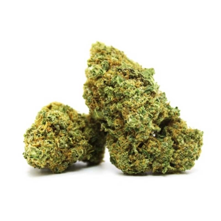 Fleurs CBD Vrac Chocolope Californienne Hydroponie - Le CBD Discount pas cher
