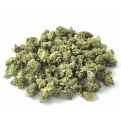 Small / Medium Buds Vrac CBD Master Kush - Le CBD Discount pas cher