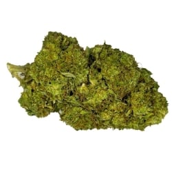 Fleurs CBD Vrac Tropical Amnesia GH - Le CBD Discount pas cher