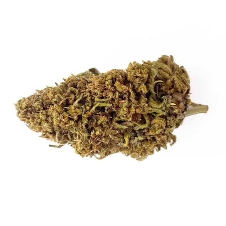 Fleurs CBD Vrac AK47 GH - Le CBD Discount pas cher