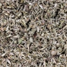 Feuilles de Damiana Substitut Tabac - Deli Hemp pas cher