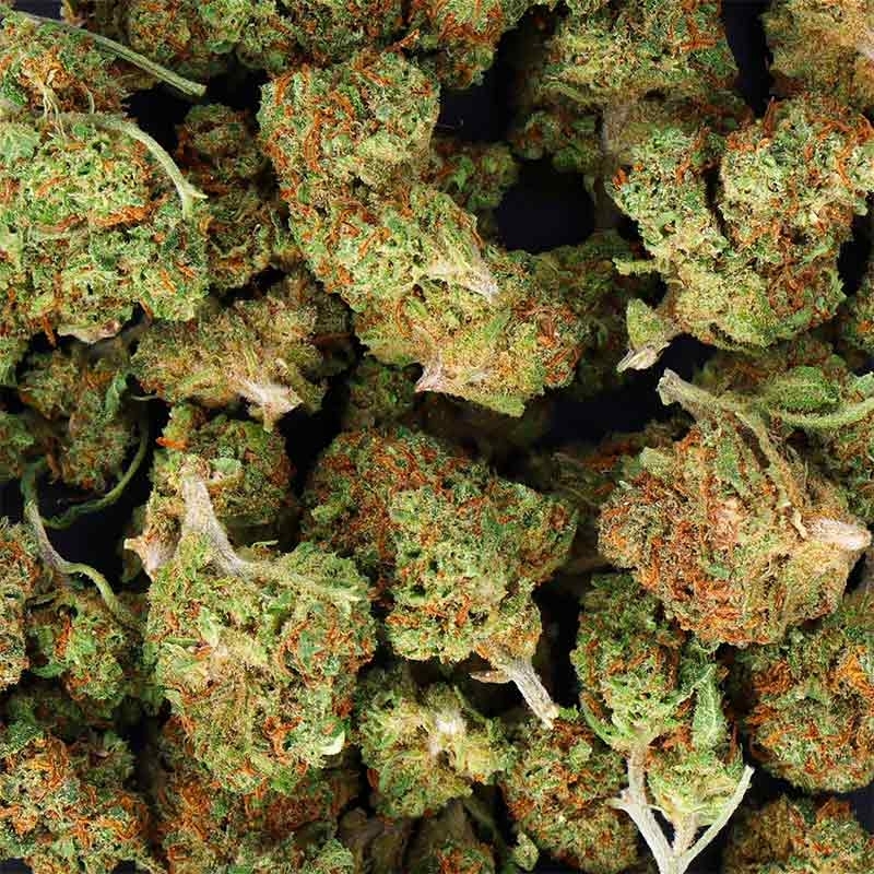 Fleurs CBD White Widow Small Bud - Deli Hemp (Indoor) pas cher