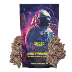Fleurs Vrac NL-1 Purple Punch GH - Le CBD Discount pas cher