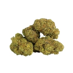 Fleurs Vrac 10 OH HHC Sunset Sky Hydroponique Californienne - Le CBD Discount pas cher