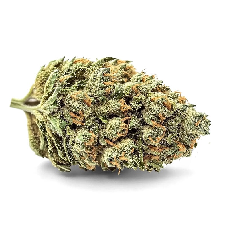 Fleurs Vrac HE+ Wasabi Indoor - Le CBD Discount pas cher