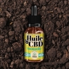 Huile CBD Immunité Broad Spectrum 10 ml - Terre du Chanvre pas cher