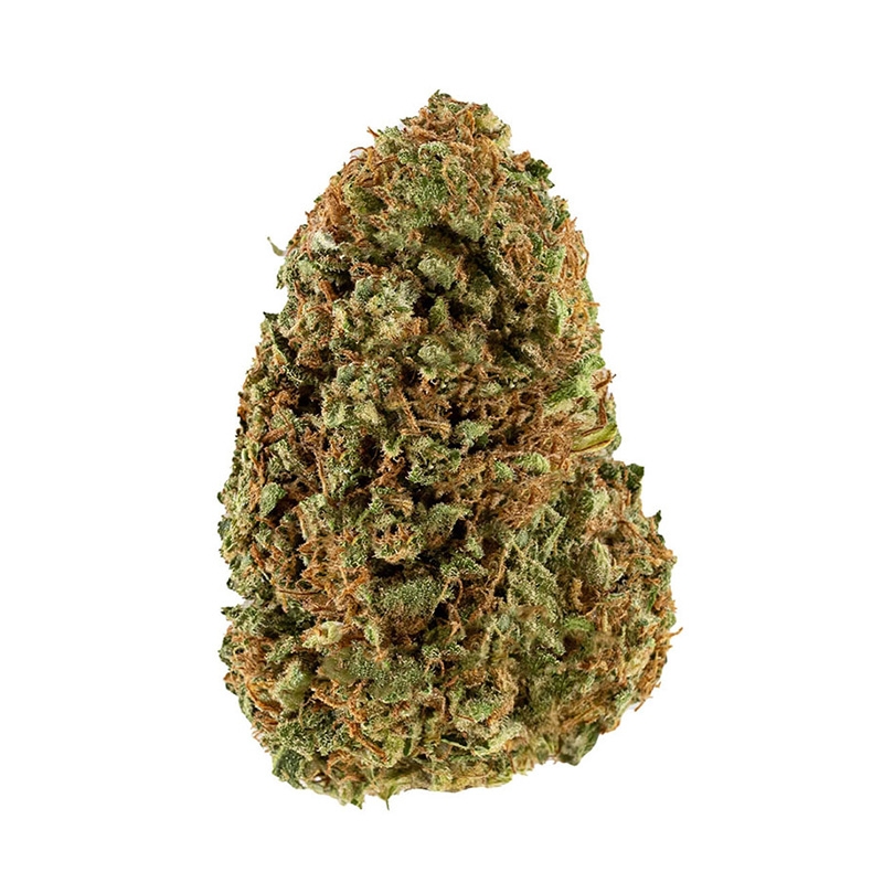 Fleurs CBD Vrac Sour Diesel GH Premium - Le CBD Discount pas cher