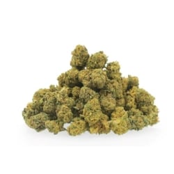 Mini Buds Vrac 10 OH HHC - Le CBD Discount pas cher