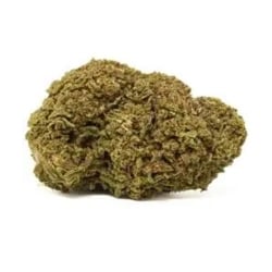 Fleurs CBD Vrac Mango Kush GH V2 - Le CBD Discount pas cher
