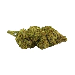 Fleurs CBD Vrac Amnesia Haze V2 GH - Le CBD Discount pas cher