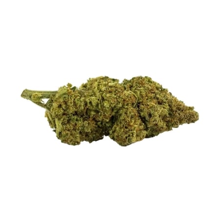 Fleurs CBD Vrac Amnesia Haze V2 GH - Le CBD Discount pas cher