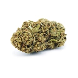 Fleurs CBD Vrac Gorilla Glue GH - Le CBD Discount pas cher