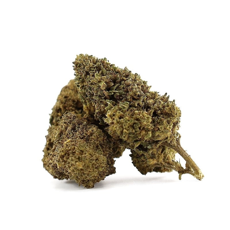 Fleurs Vrac D10 Wapanga Indoor - Le CBD Discount pas cher