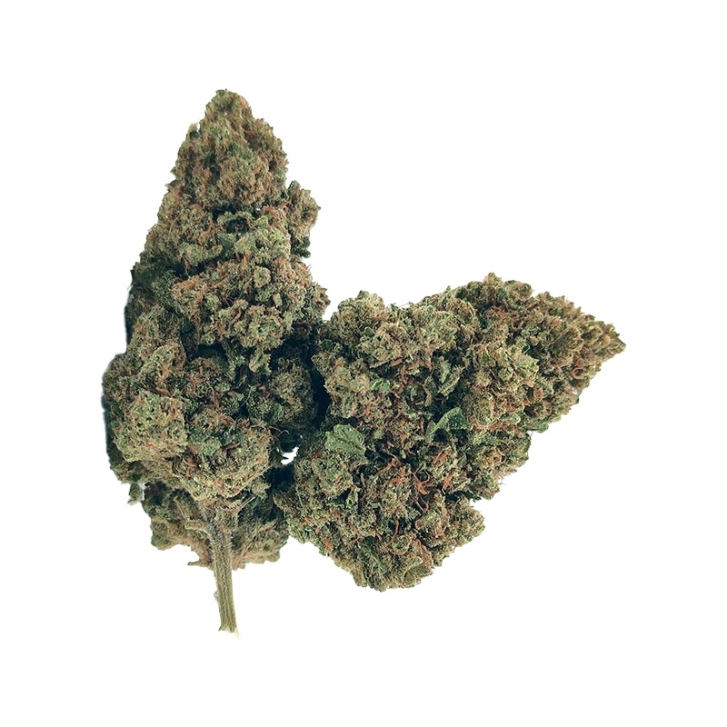 Fleurs CBD Vrac Bubba Kush USA GH - Le CBD Discount pas cher
