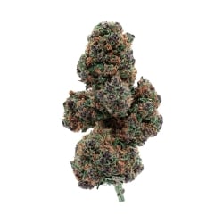 Fleurs Vrac THV-N10 Blue Sherbet Indoor Hydroponie - Le CBD Discount pas cher